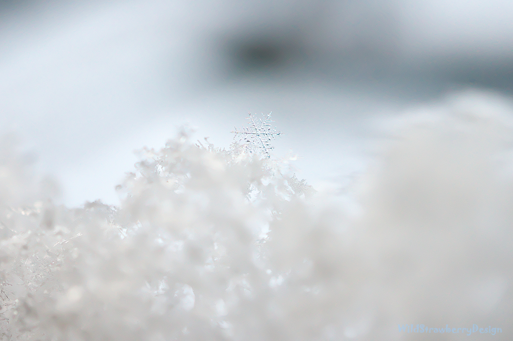 SnowCrystal