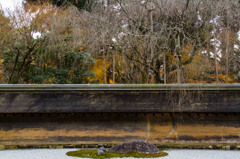 京都竜安寺-2