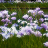 IMGP1208-2
