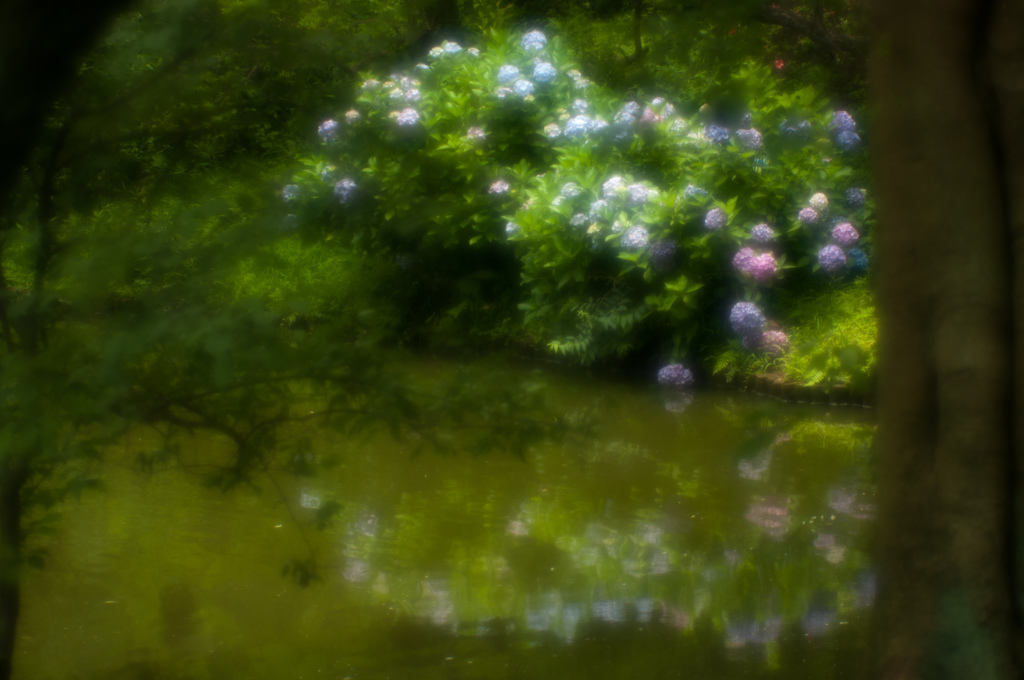 IMGP1236-8