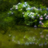 IMGP1236-8