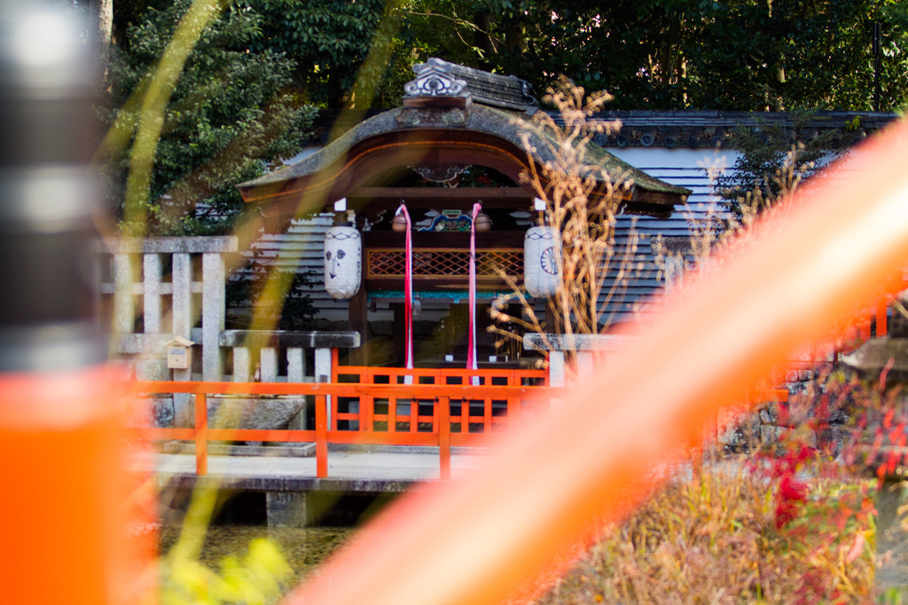 京都下鴨神社-2