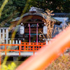京都下鴨神社-2
