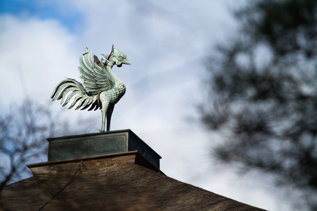 京都銀閣寺-5
