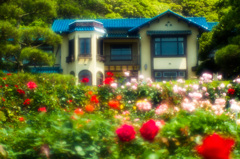 鎌倉文学館06