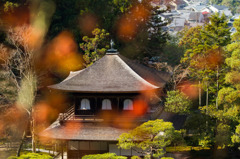 京都銀閣寺-4