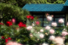 鎌倉文学館02