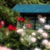 鎌倉文学館02