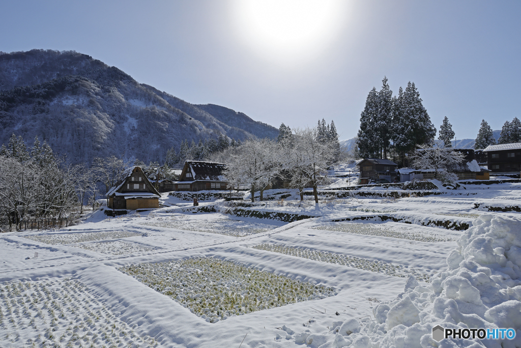 相倉合掌造り集落