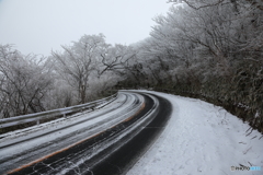 雪道