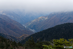 景色