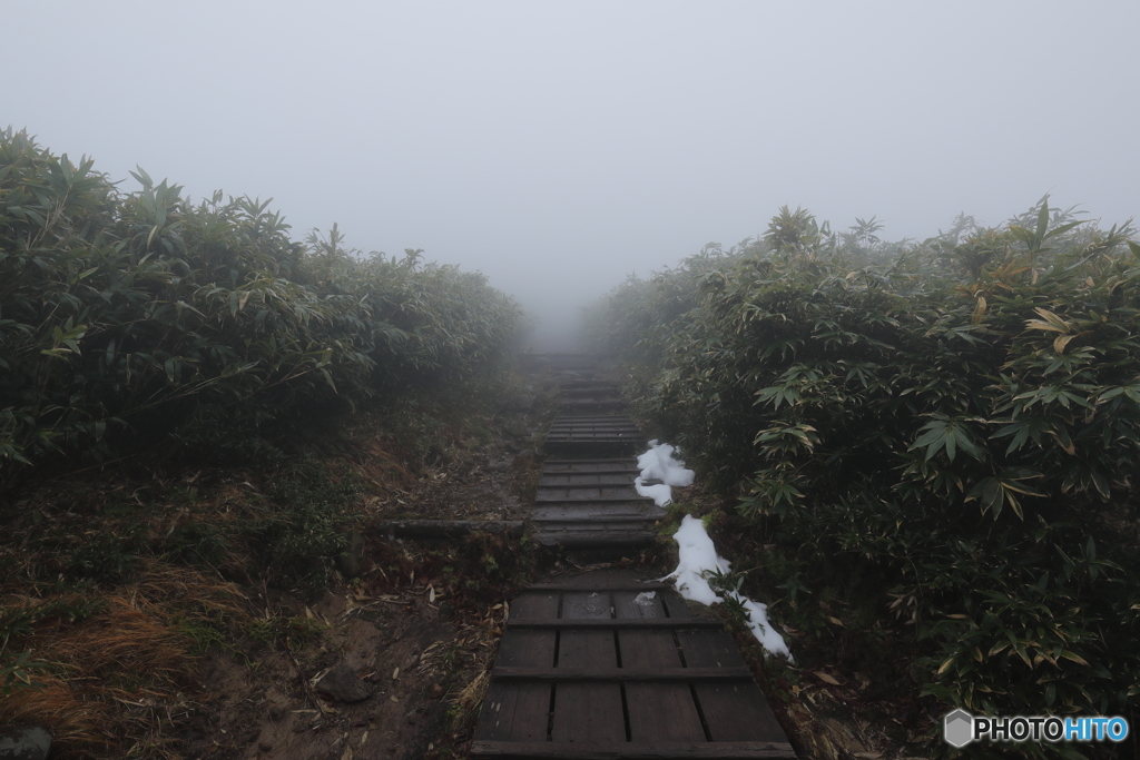 登山道