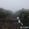 登山道