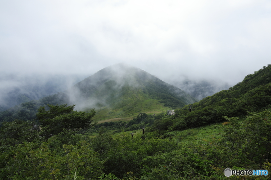 山