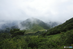 山