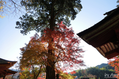 談山神社2