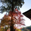 談山神社2