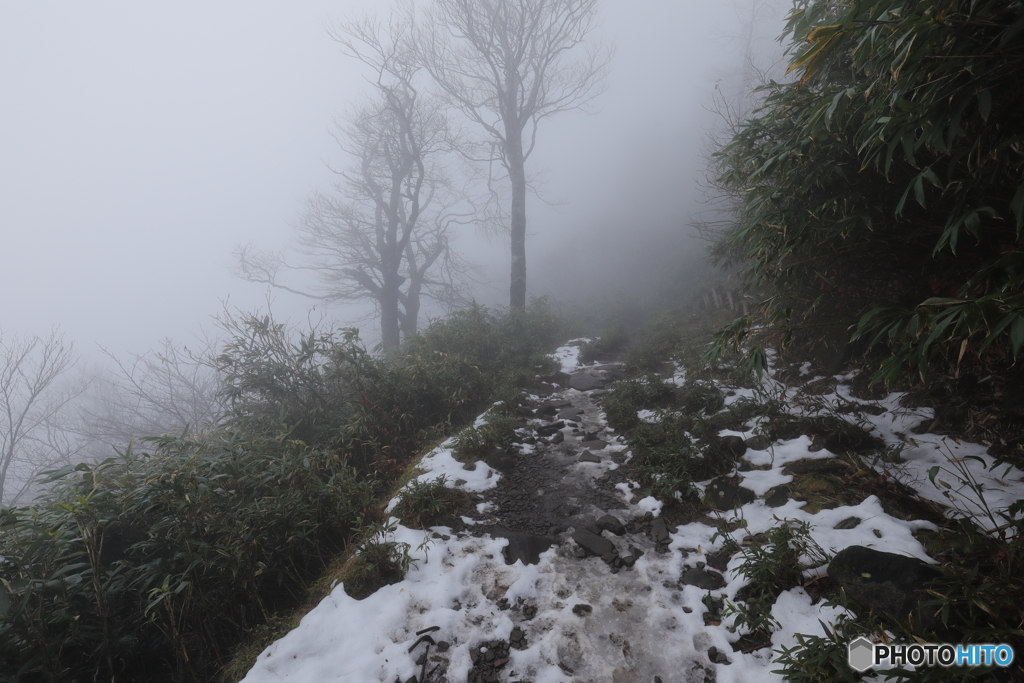 残雪