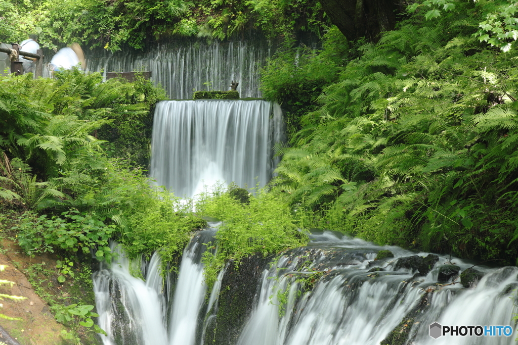 白糸の滝　