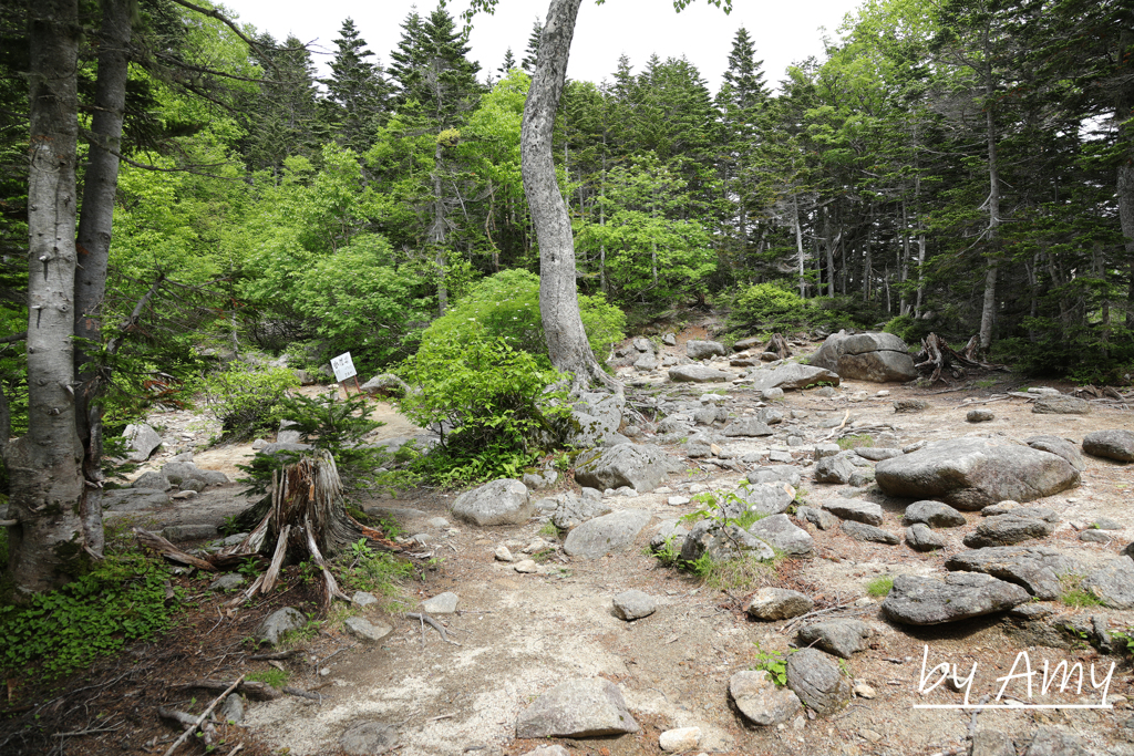 小屋場