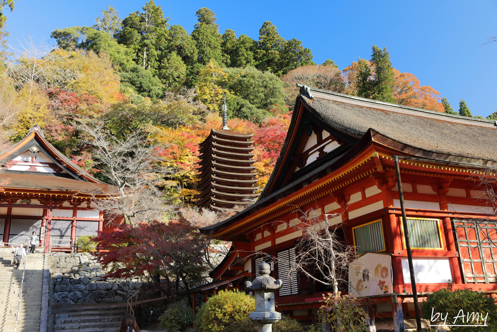 談山神社１