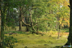 朝の風景