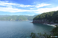 海