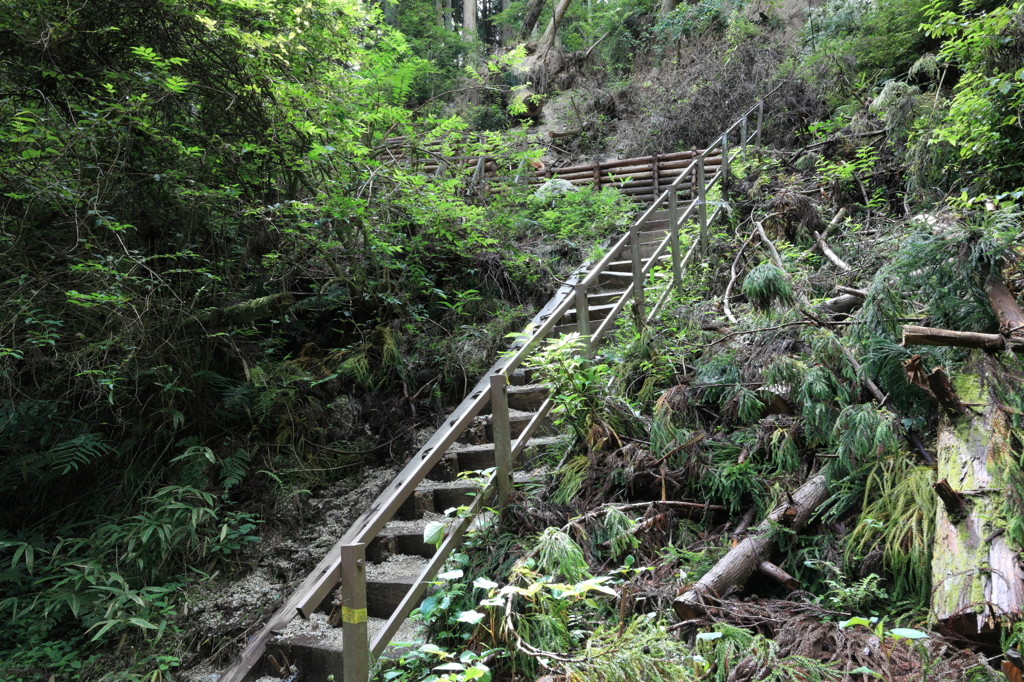 登山道