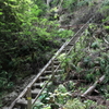 登山道