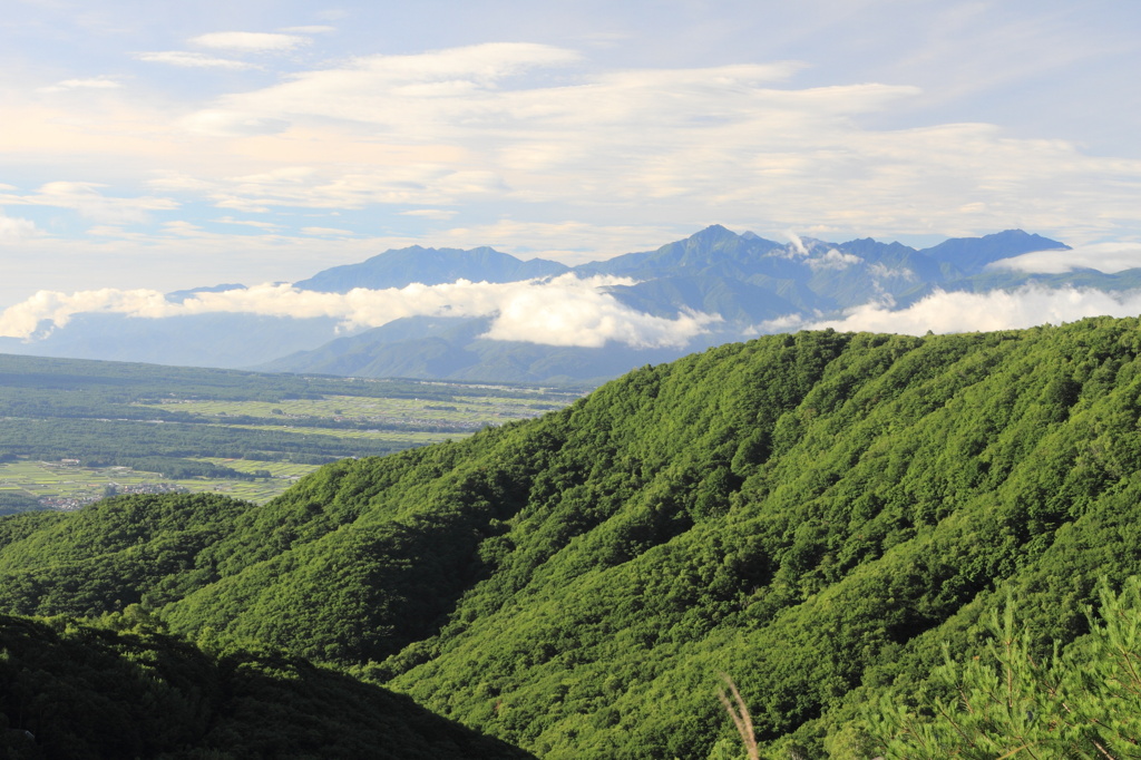 山