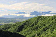 山