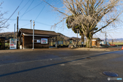 網引駅