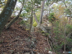 瑞宝寺谷西尾根道