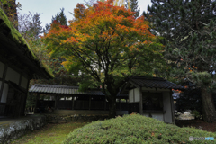 大明寺