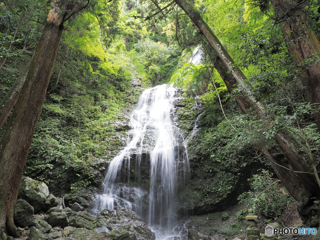 飛龍の滝