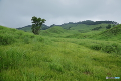 砥峰高原