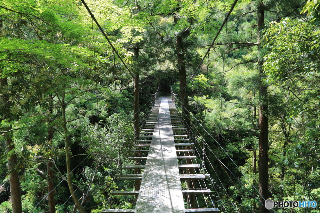 吊橋