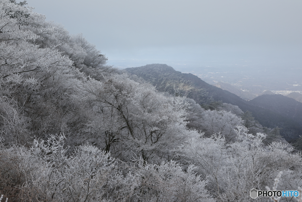 樹氷