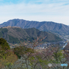 竹田城跡