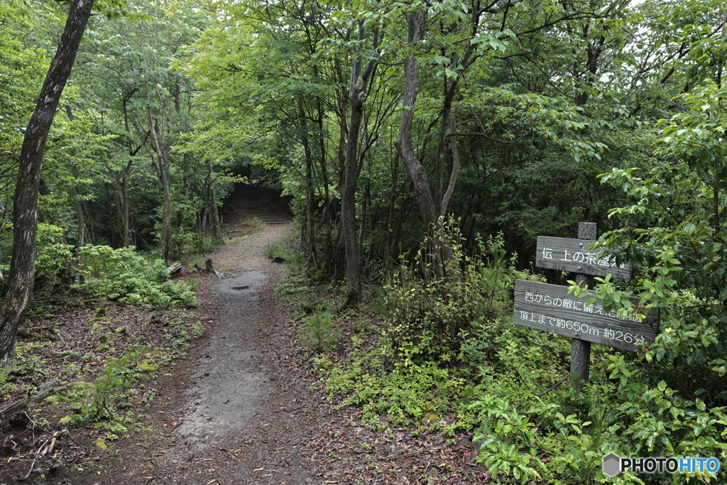 登山道