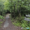 登山道