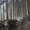 光差し込む