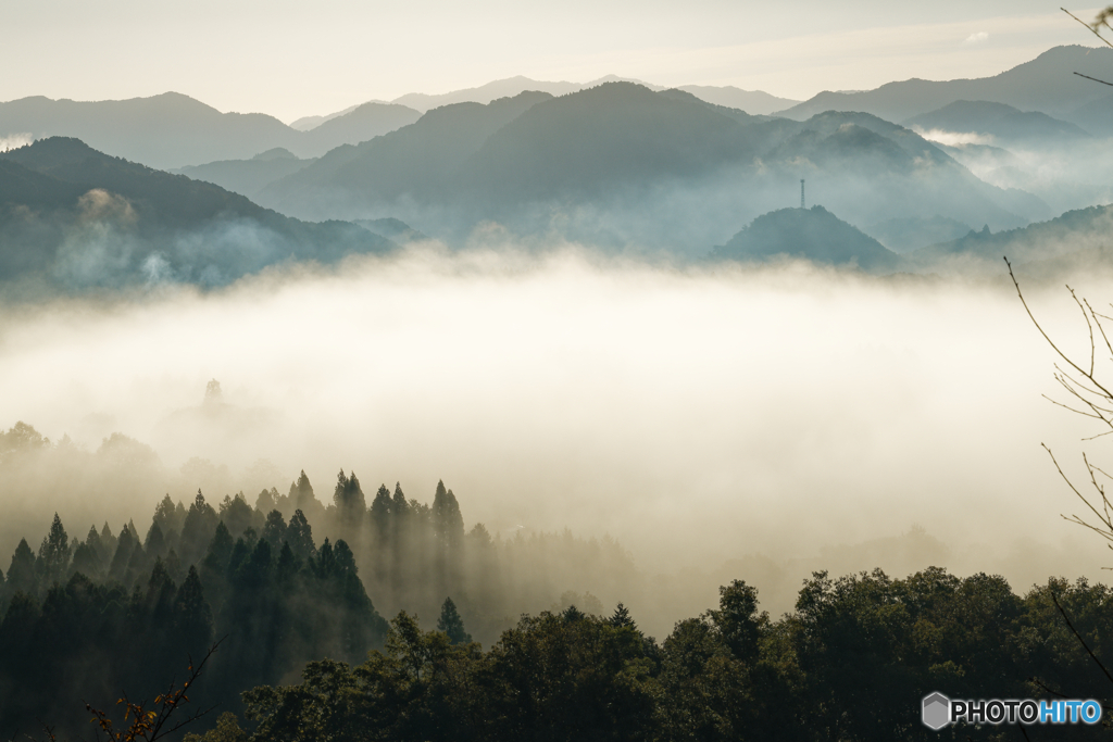 雲海