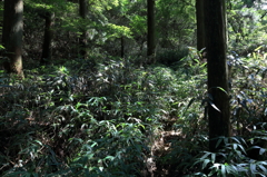 六甲山