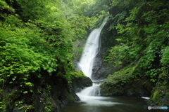 野鹿の滝
