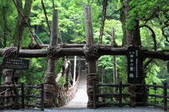 蔓橋