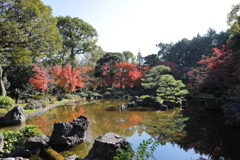 紅葉