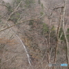 布滝