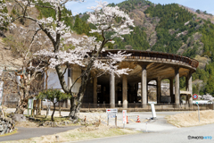 シックナー跡
