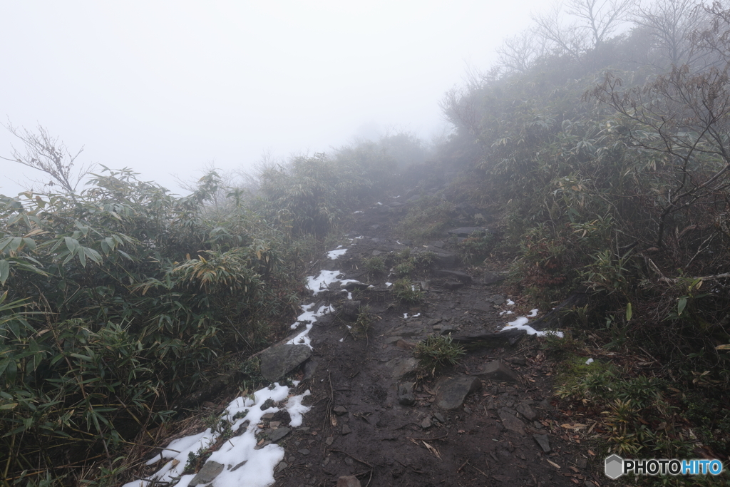 残雪